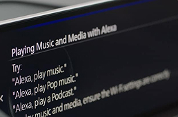 ALEXA VOICE ASSISTANT