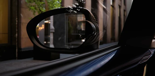 Blind Spot Monitoring (BSM)